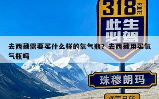 去西藏需要买什么样的氧气瓶？去西藏用买氧气瓶吗