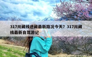 317川藏线进藏最新路况今天？317川藏线最新自驾游记