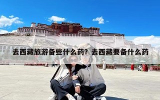 去西藏旅游备些什么药？去西藏要备什么药