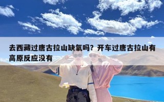 去西藏过唐古拉山缺氧吗？开车过唐古拉山有高原反应没有