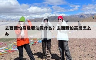 去西藏怕高反要注意什么？去西藏怕高反怎么办