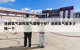 进藏氧气袋和氧气罐哪个好？进藏氧气瓶多少钱一个