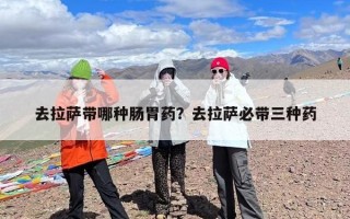 去拉萨带哪种肠胃药？去拉萨必带三种药