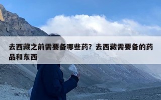 去西藏之前需要备哪些药？去西藏需要备的药品和东西