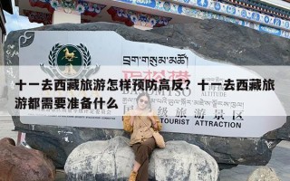 十一去西藏旅游怎样预防高反？十一去西藏旅游都需要准备什么