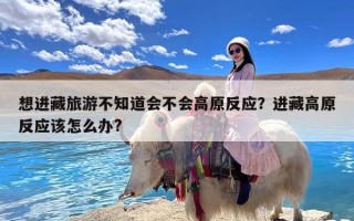 想进藏旅游不知道会不会高原反应？进藏高原反应该怎么办?