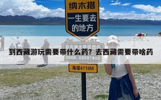 到西藏游玩需要带什么药？去西藏需要带啥药