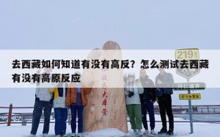 去西藏如何知道有没有高反？怎么测试去西藏有没有高原反应