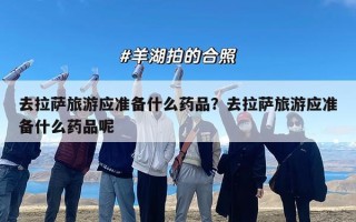 去拉萨旅游应准备什么药品？去拉萨旅游应准备什么药品呢