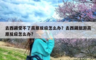 去西藏受不了高原反应怎么办？去西藏旅游高原反应怎么办?