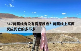 317川藏线有没有高原反应？川藏线上高原反应死亡的多不多