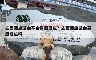 去西藏旅游会不会高原反应？去西藏旅游会高原反应吗