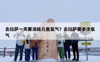 去拉萨一天要消耗几瓶氧气？去拉萨要多少氧气