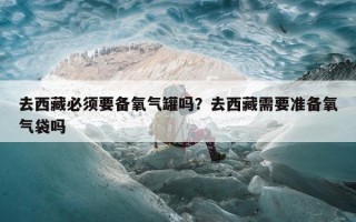 去西藏必须要备氧气罐吗？去西藏需要准备氧气袋吗