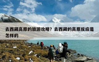 去西藏高原的旅游攻略？去西藏的高原反应是怎样的