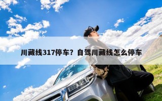 川藏线317停车？自驾川藏线怎么停车