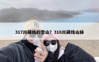 317川藏线的雪山？318川藏线山脉