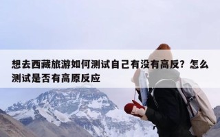 想去西藏旅游如何测试自己有没有高反？怎么测试是否有高原反应