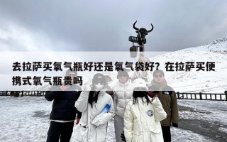 去拉萨买氧气瓶好还是氧气袋好？在拉萨买便携式氧气瓶贵吗