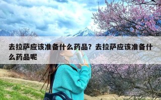 去拉萨应该准备什么药品？去拉萨应该准备什么药品呢