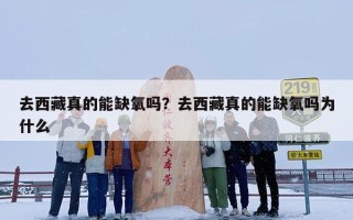 去西藏真的能缺氧吗？去西藏真的能缺氧吗为什么