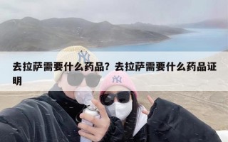 去拉萨需要什么药品？去拉萨需要什么药品证明