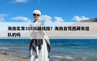 海南出发318川藏线路？海南自驾西藏有组队的吗