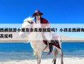 西藏旅游小朋友会高原反应吗？小孩去西藏有高反吗