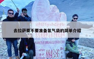 去拉萨要不要准备氧气袋的简单介绍