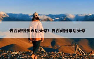 去西藏很多天后头晕？去西藏回来后头晕