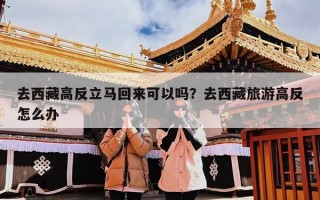 去西藏高反立马回来可以吗？去西藏旅游高反怎么办