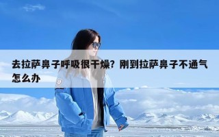 去拉萨鼻子呼吸很干燥？刚到拉萨鼻子不通气怎么办