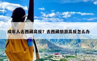 成年人去西藏高反？去西藏旅游高反怎么办