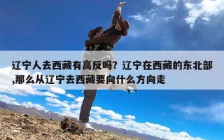 辽宁人去西藏有高反吗？辽宁在西藏的东北部,那么从辽宁去西藏要向什么方向走