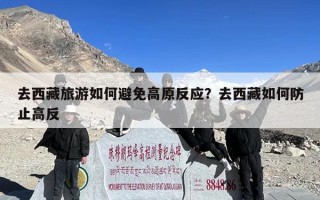 去西藏旅游如何避免高原反应？去西藏如何防止高反