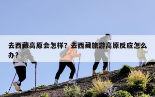 去西藏高原会怎样？去西藏旅游高原反应怎么办?