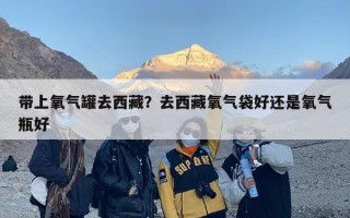 带上氧气罐去西藏？去西藏氧气袋好还是氧气瓶好