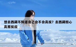 想去西藏不知道自己会不会高反？去西藏担心高原反应