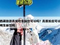 西藏旅游高反吃生脉饮可以吗？高原反应可以喝生脉饮吗