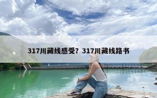 317川藏线感受？317川藏线路书