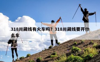 318川藏线有火车吗？318川藏线要开什么车