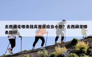 去西藏走哪条路高原反应会小些？去西藏走哪条路好