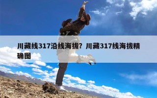 川藏线317沿线海拔？川藏317线海拔精确图