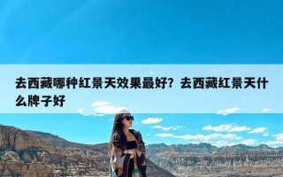 去西藏哪种红景天效果最好？去西藏红景天什么牌子好