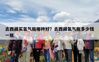 去西藏买氧气瓶哪种好？去西藏氧气瓶多少钱一瓶