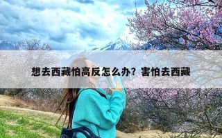 想去西藏怕高反怎么办？害怕去西藏