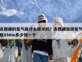 去西藏的氧气瓶什么样子的？去西藏旅游氧气瓶850m多少钱一个