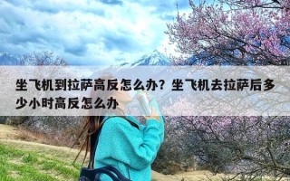 坐飞机到拉萨高反怎么办？坐飞机去拉萨后多少小时高反怎么办