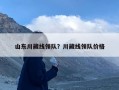 山东川藏线领队？川藏线领队价格