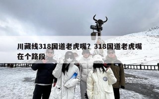 川藏线318国道老虎嘴？318国道老虎嘴在个路段